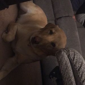 Meet your Posher, Kara